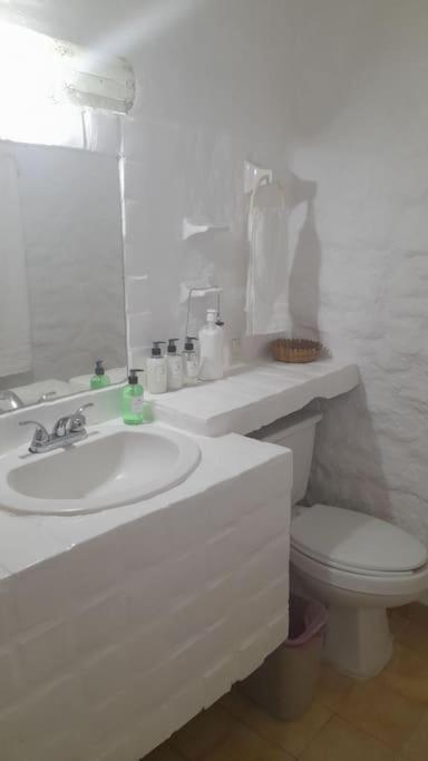 Sol Y Mar. Delfines Apartment Икстапа Екстериор снимка